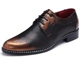 KLYWOO Dressy Men's Shoes