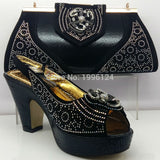 Italian Shoe with Matching Bag