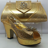 Italian Shoe with Matching Bag