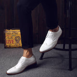 Stylish Men's Shoes