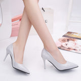 HEVXM  High Heel Pointed Toe