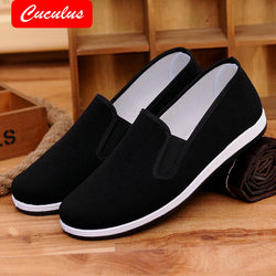 Casual Canvas Men's Shoes